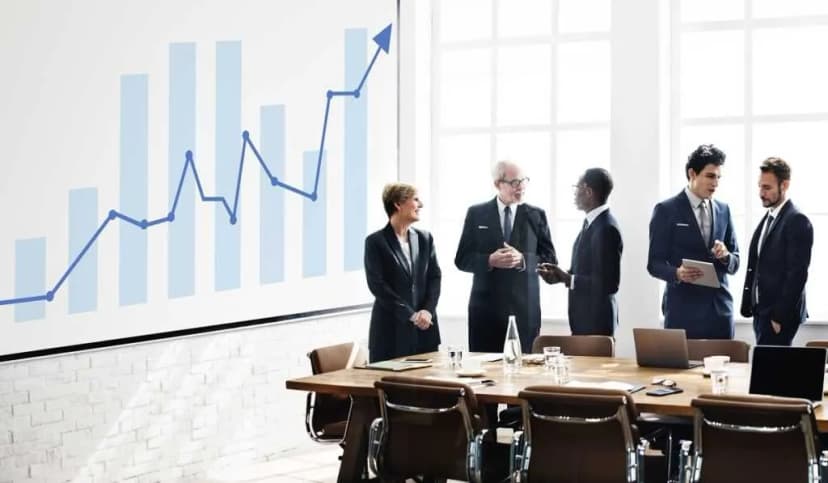 Board Member/Investor Professional