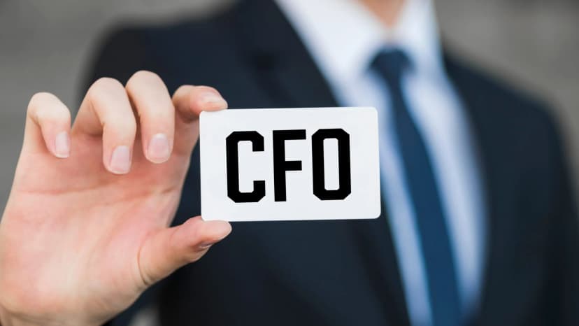 CFO/Financial Director Professional